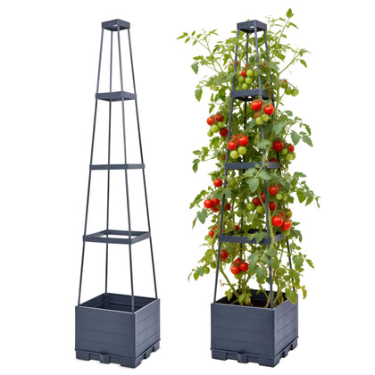 Waylinho tomato planter with trellis pack for space-saving vertical gardening and easy climbing support.