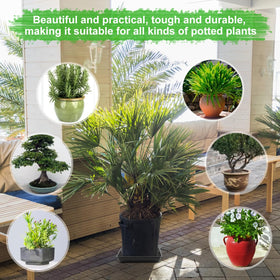 WAYNHUI square plant saucer 2pack fits many pot sizes