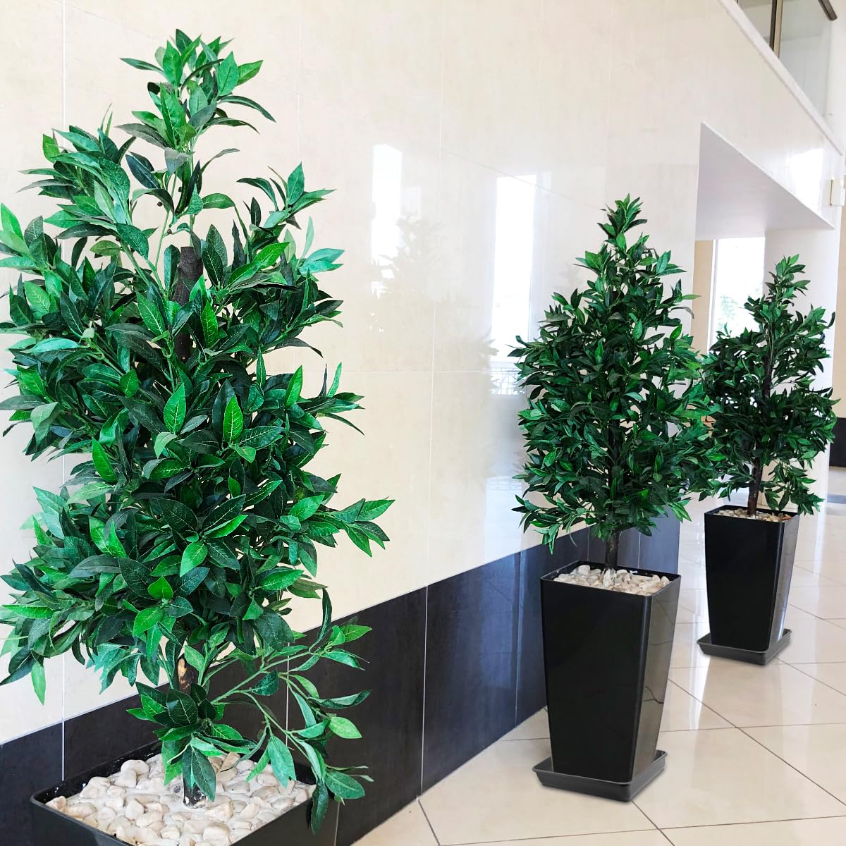 WAYNHUI square plant saucer versatile for flowers grasses and herbs
