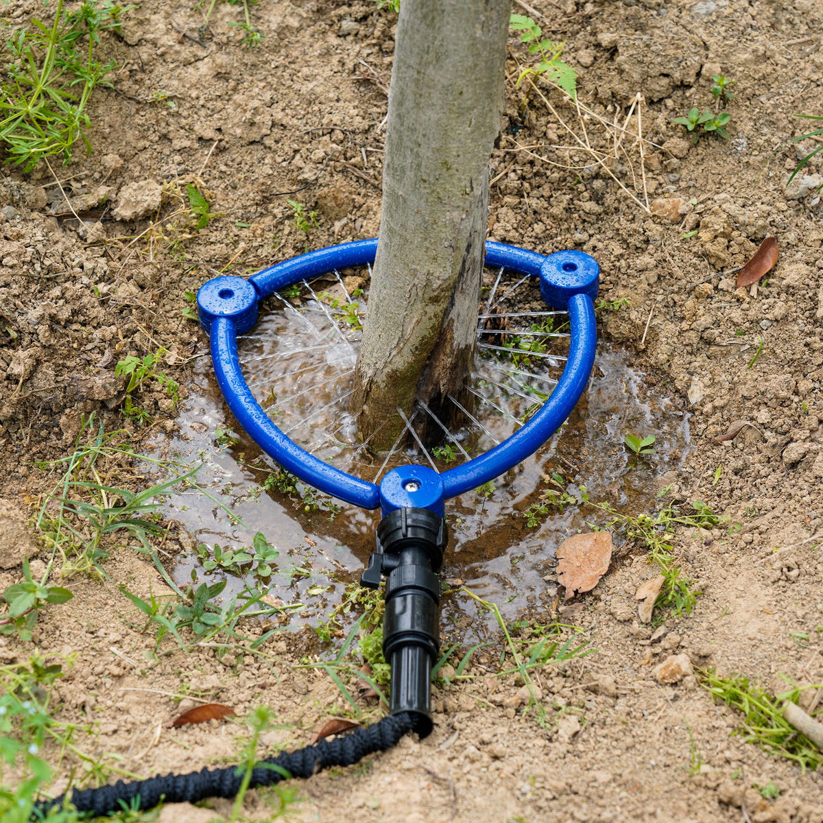 WBCBEC 360° tree water sprinkler covers around the base of trees and shrubs.