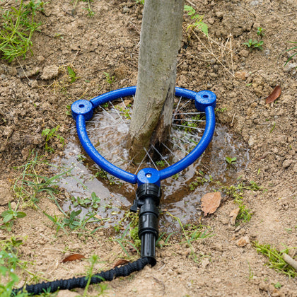 WBCBEC 360° tree water sprinkler covers around the base of trees and shrubs.