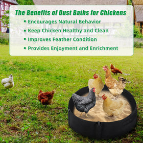 Spacious round design supports multiple adult chickens for efficient dust baths.