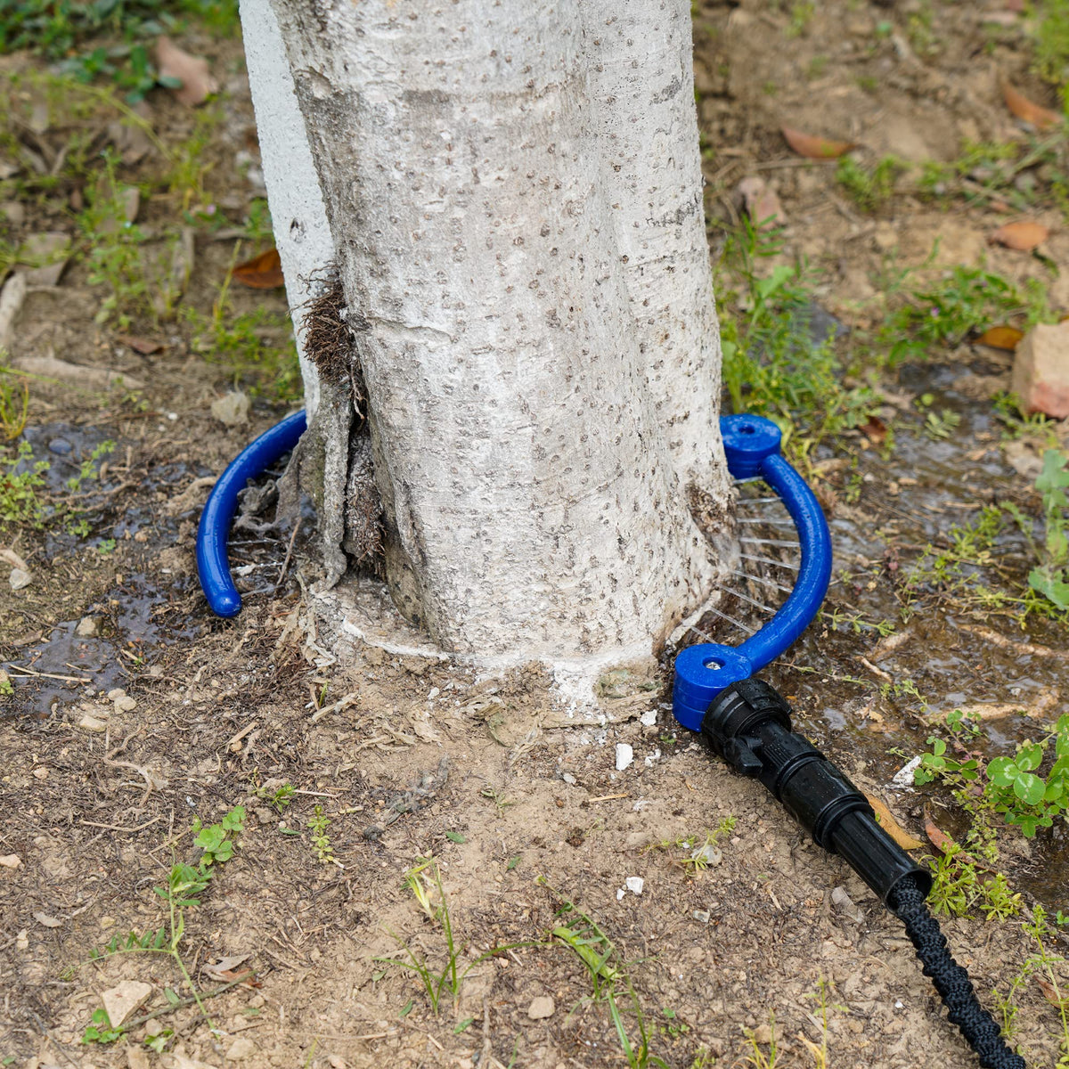 WBCBEC multi-plant irrigation network scalable for beds and borders.