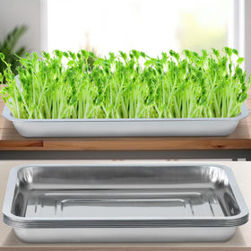 WBCBEC seed trays support microgreens, herbs, and lettuce growth