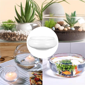 WCFOA glass floral container for versatile decor ideas.