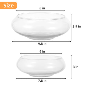 WCFOA hydroponic display bowl for greens and roots.