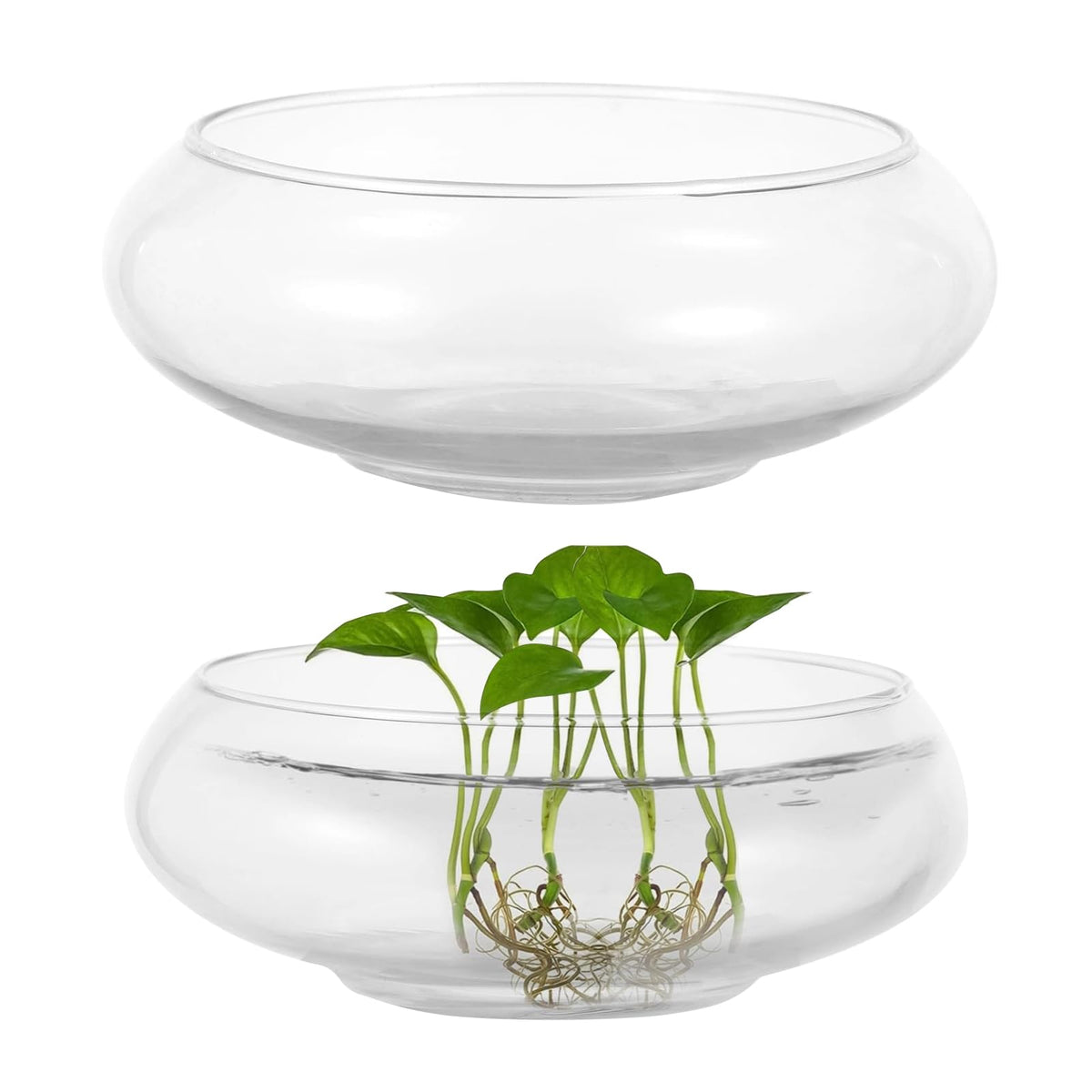 WCFOA round glass vase bowl, 6in wide mouth for compact displays.
