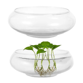 WCFOA round glass vase bowl, 6in wide mouth for compact displays.