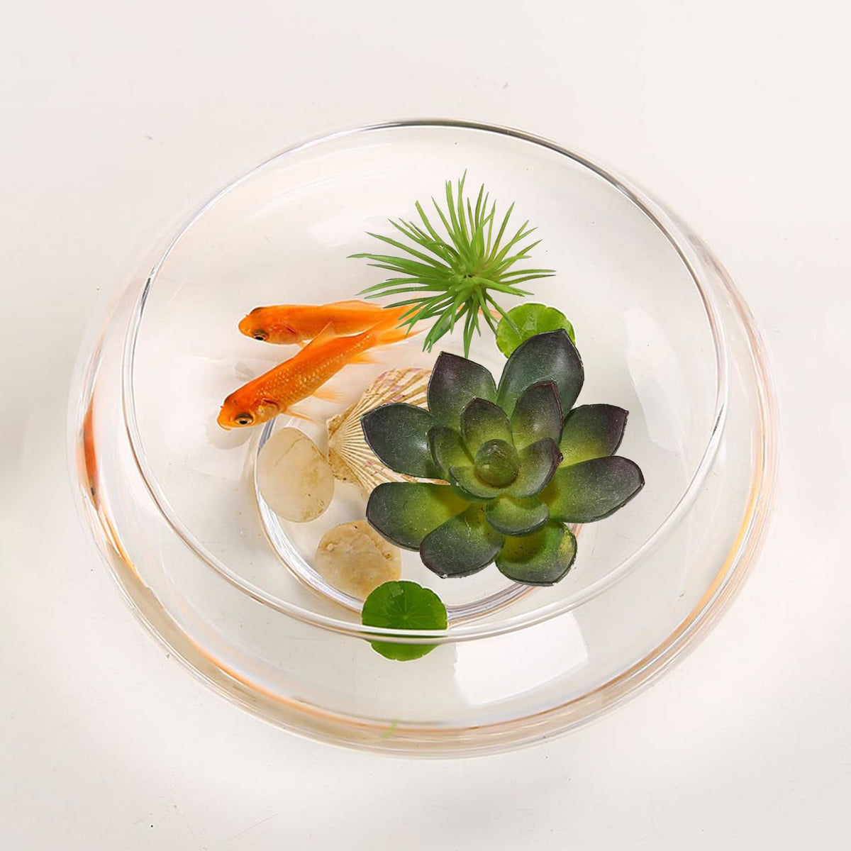 WCFOA succulent glass planter for modern plant styling.