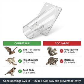 WCS PRO-Cone Corner clear polycarbonate material for durability and visibility.