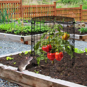 WDBG all-weather vinyl coating resists rust and corrosion on cages.
