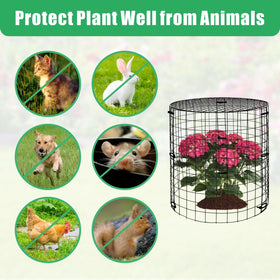 WDBG stakes secure cages against wind and movement in the garden.
