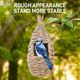WDEFUN three-pack hummingbird houses shown in a versatile yard setup.