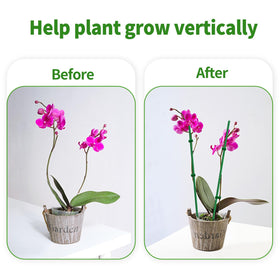 WDZZHOT stakes stabilize potted plants and small trees to prevent toppling