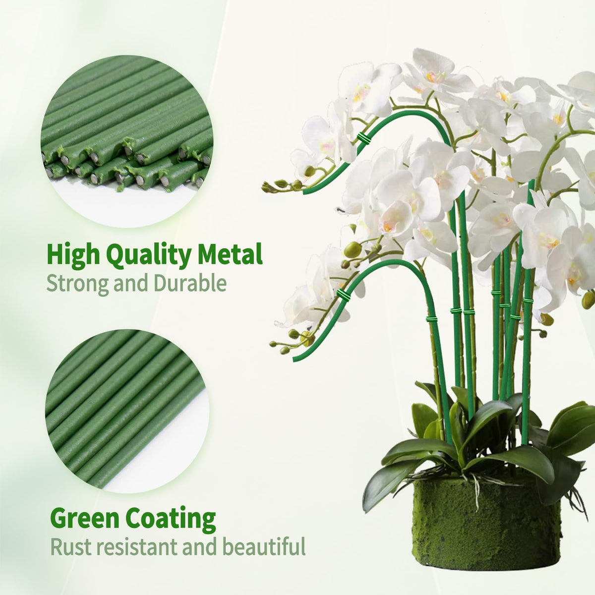 WDZZHOT plant support stake perfect for climbing vegetables and flowering vines