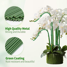 WDZZHOT plant support stake perfect for climbing vegetables and flowering vines