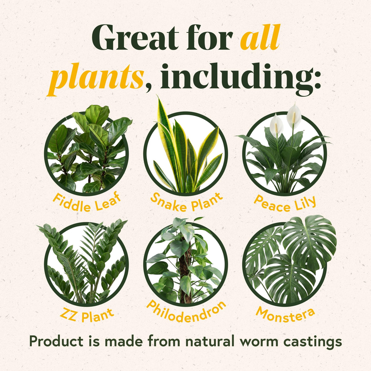 Healthy hoyas thrive with WE THE WILD Enrich Powder in pots