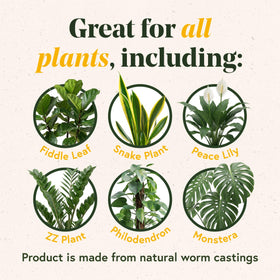 Healthy hoyas thrive with WE THE WILD Enrich Powder in pots