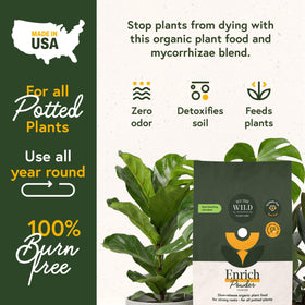Sprinkling WE THE WILD Enrich Powder onto soil provides long-term nutrition