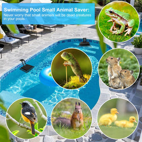 Weallere pool-safety-critters-application demonstrates practical use around water.