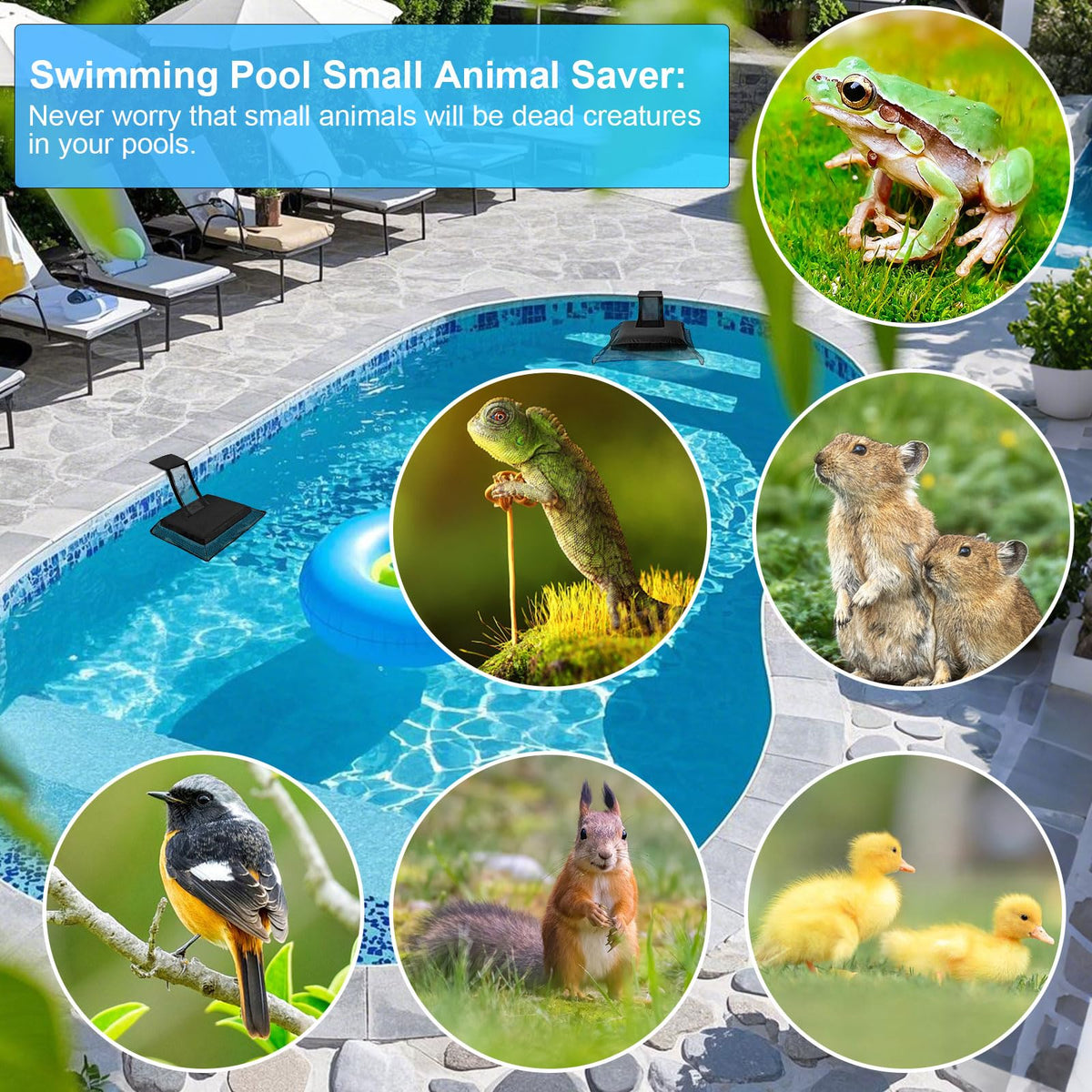 Weallere safe-edge ramp improves animal exit from water