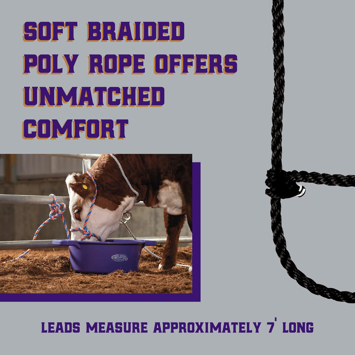 Weaver 7-foot lead enables easy guiding of cows, bulls, and calves.