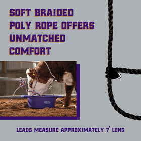 Weaver 7-foot lead enables easy guiding of cows, bulls, and calves.