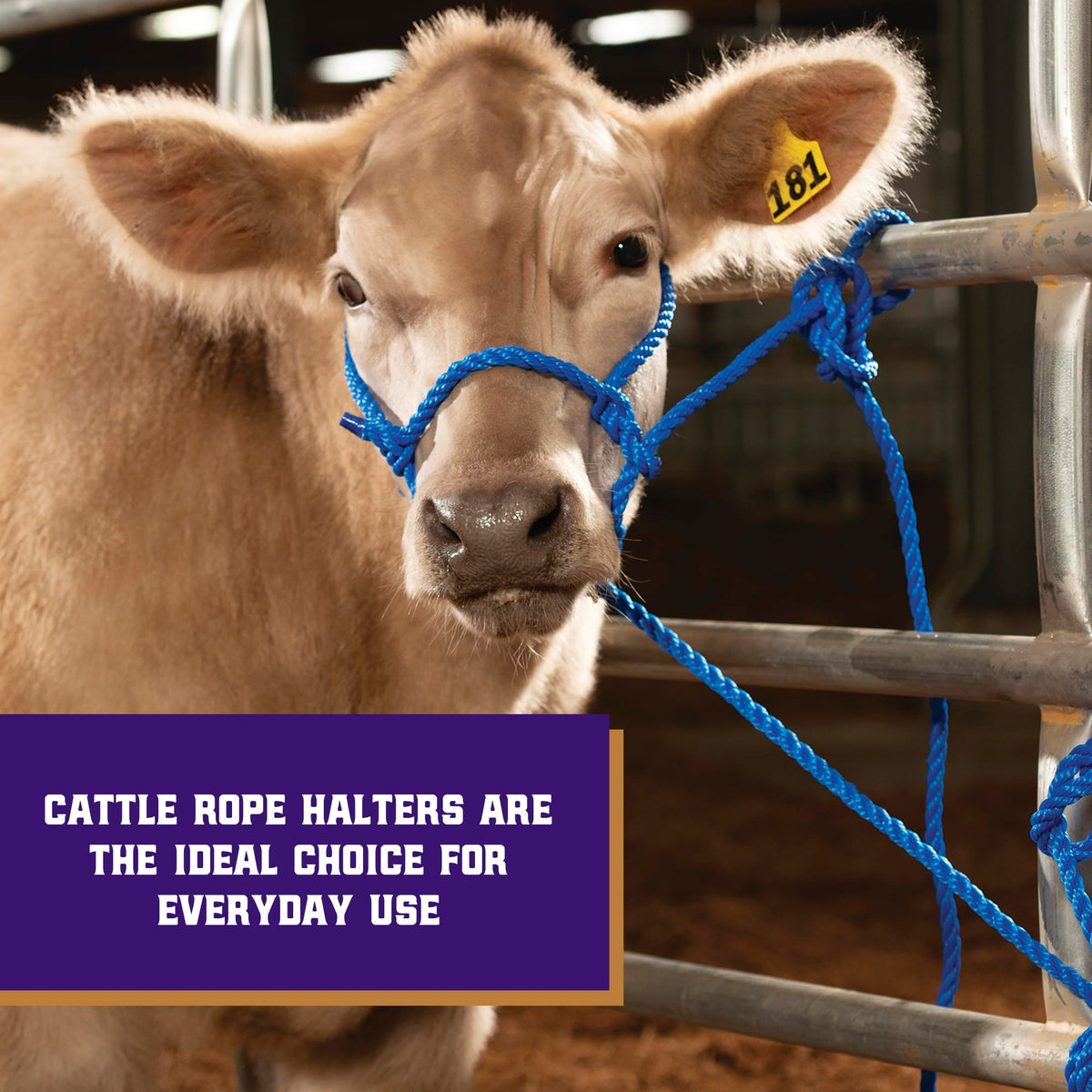 Weaver adjustable cattle halter providing secure, comfortable fit for livestock handling.