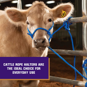 Weaver adjustable cattle halter providing secure, comfortable fit for livestock handling.