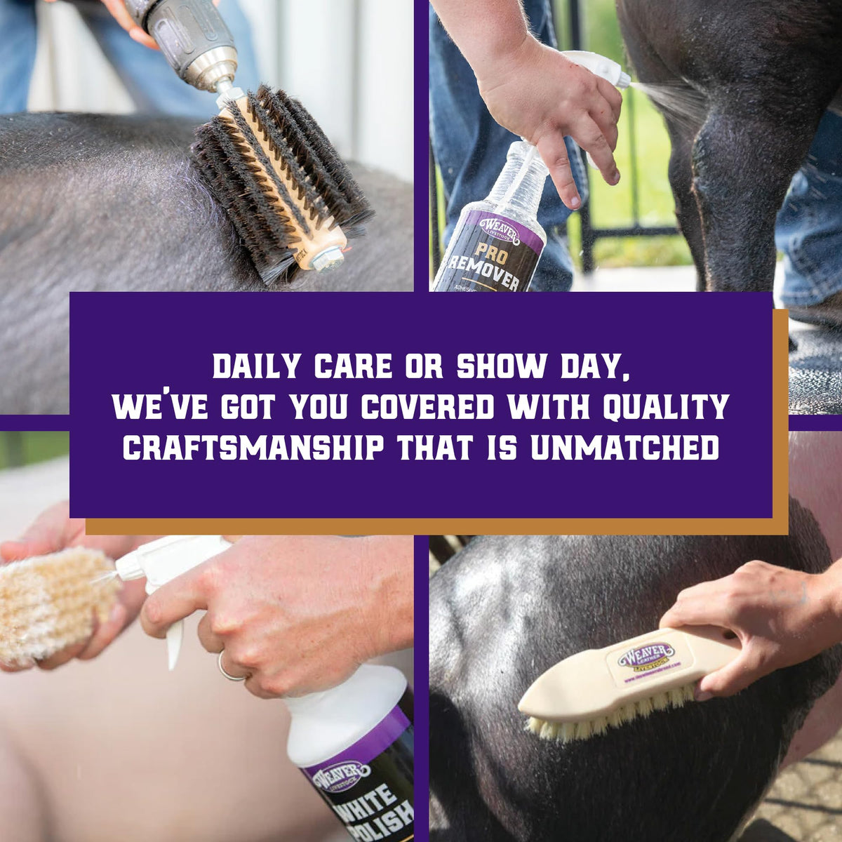 Weaver Dogs and Livestock nozzle versatility ideal for fairs and routine care