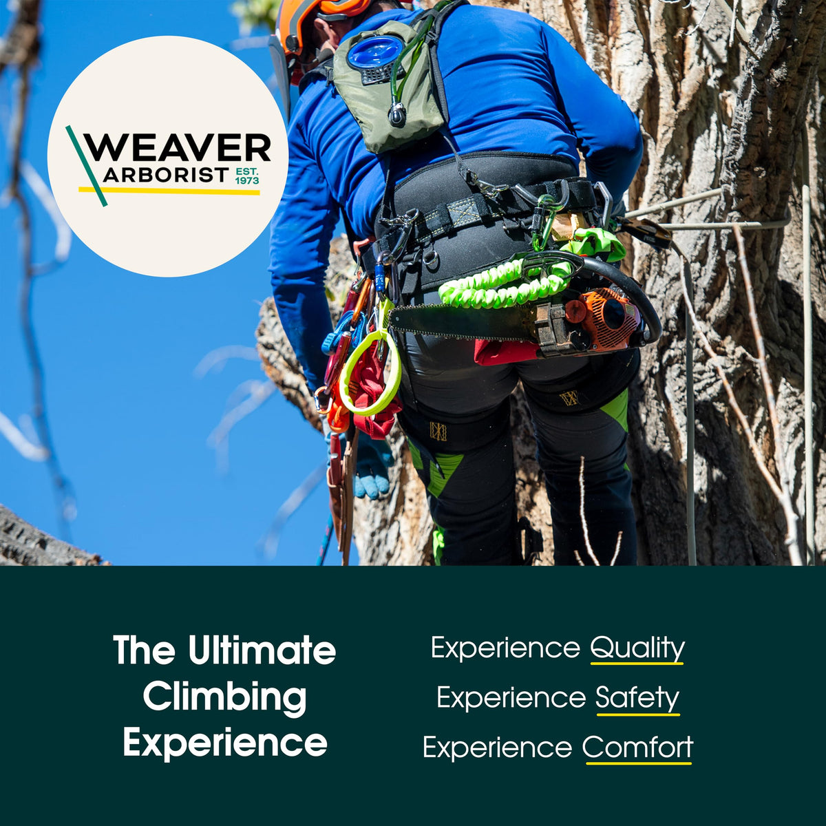 Weaver Leather Arborist Guard nickel hardware close-up corrosion resistance