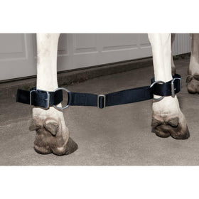Weaver Leather Deluxe Cow Hobble strap close-up illustrating easy adjustment for secure restraint