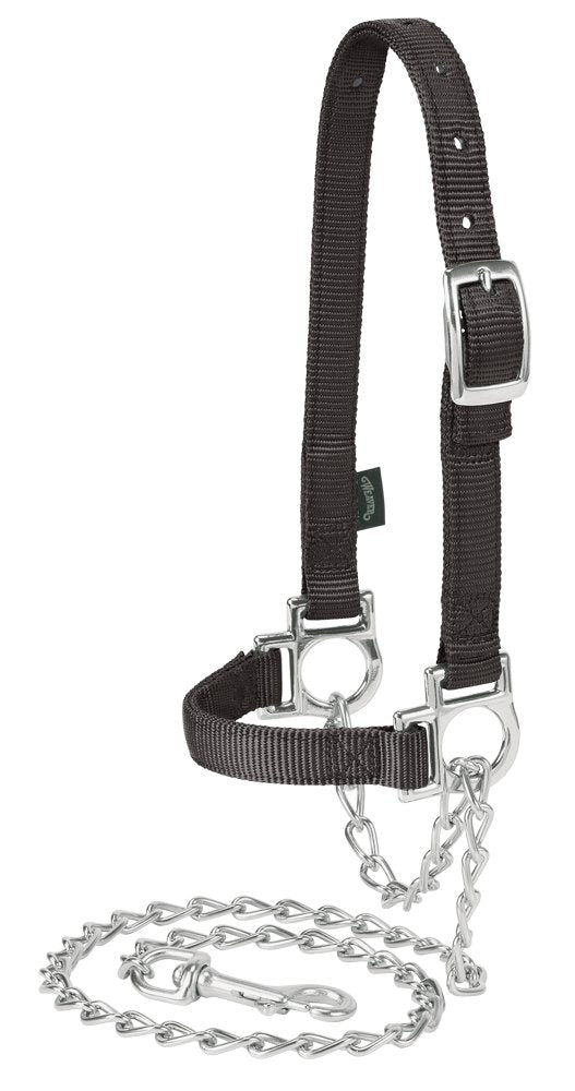 Weaver Leather nylon sheep halter with chain lead close-up for safe handling and show readiness
