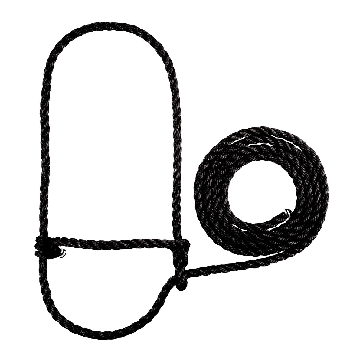 Weaver Livestock braided poly rope cattle halter for durable show-day control.