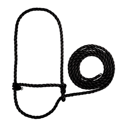 Weaver Livestock braided poly rope cattle halter for durable show-day control.