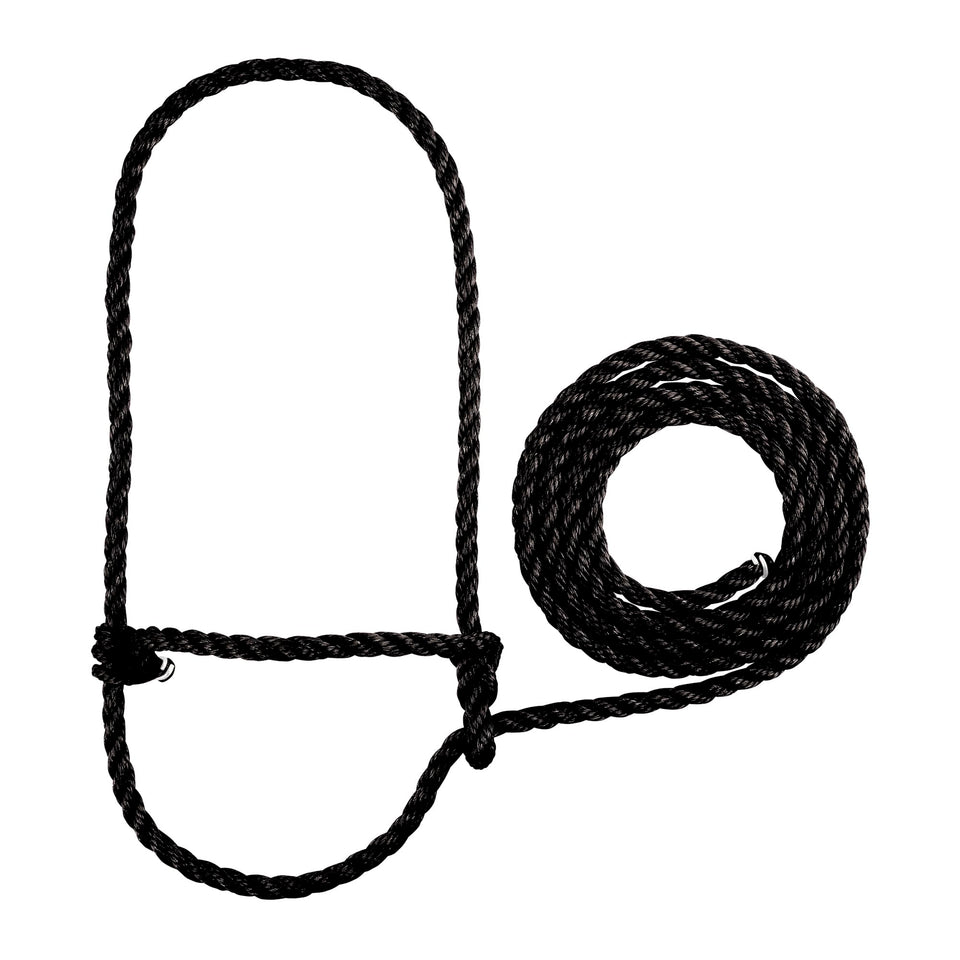 Weaver Livestock braided poly rope cattle halter for durable show-day control.