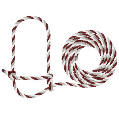 Weaver Livestock braided poly rope halter for cattle—gentle control for training and showing