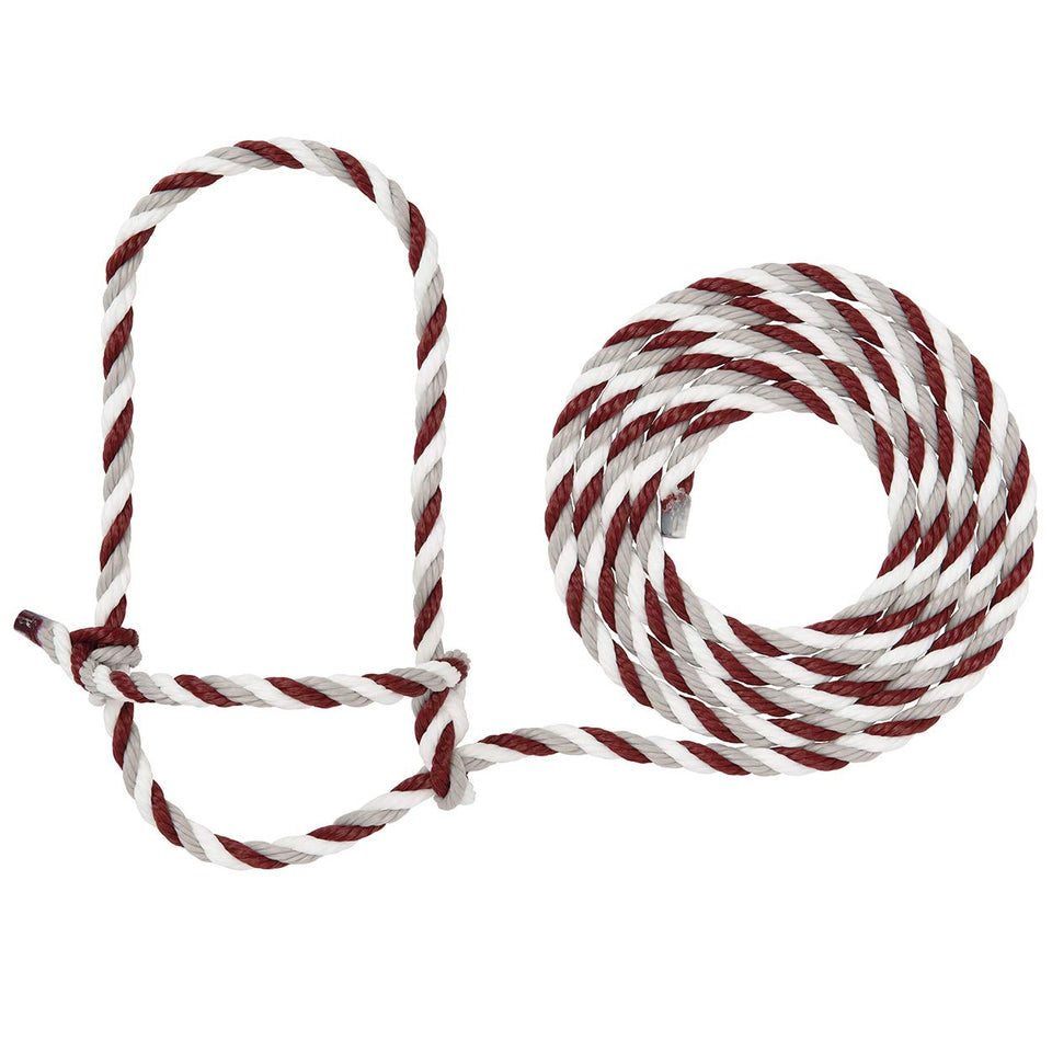 Weaver Livestock braided poly rope halter for cattle—gentle control for training and showing