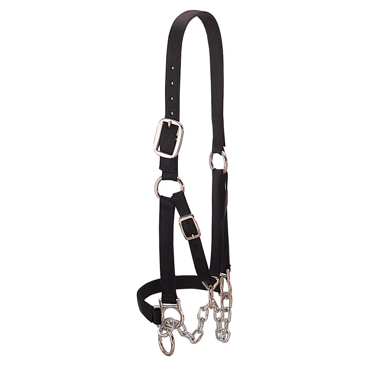 Weaver Livestock heavy-duty restraint cattle halter enables controlled handling and show-ready performance