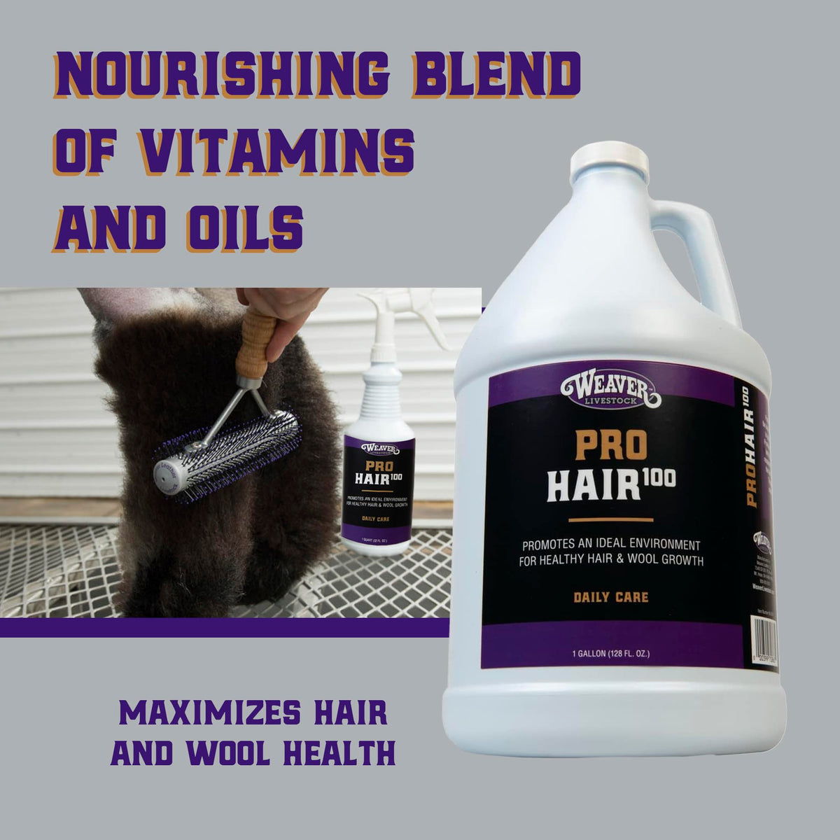 Weaver Livestock ProHair100 coat shine close-up highlights healthy fur and wool