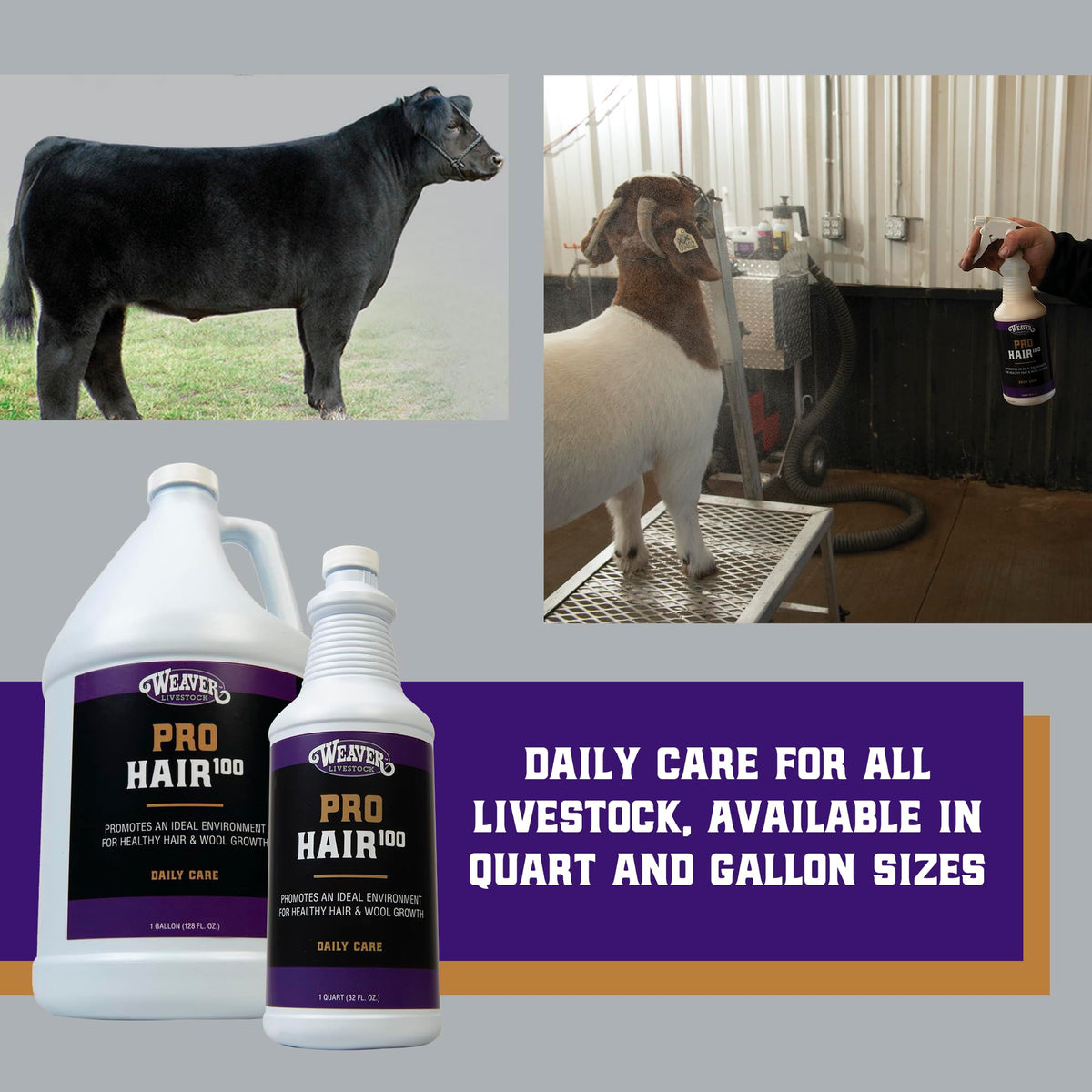 Weaver Livestock ProHair100 hydrolyzed keratin close-up supports hair strength