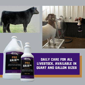 Weaver Livestock ProHair100 hydrolyzed keratin close-up supports hair strength