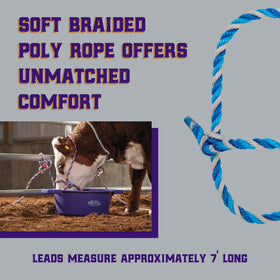 Weaver Livestock seven-foot lead for easy guiding and handling