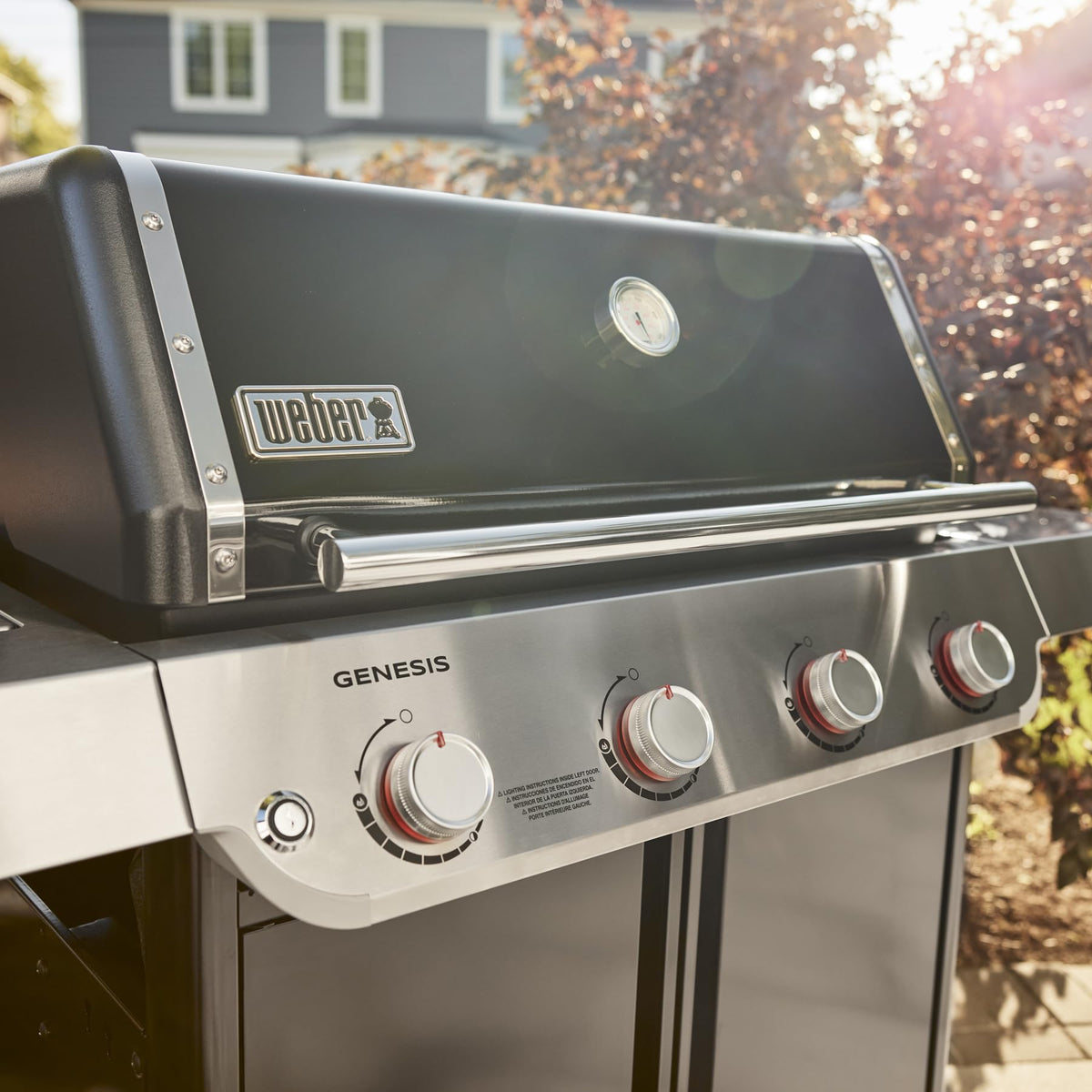 The cast-iron porcelain-enamel grates retain heat for savory sear marks.