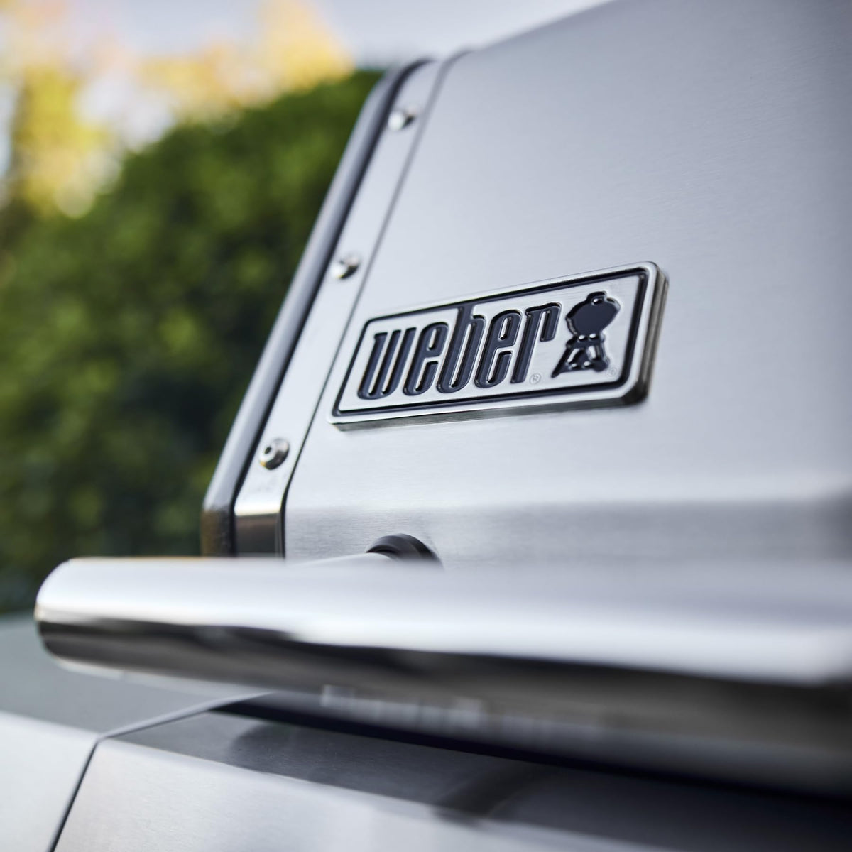 Weber Genesis S-415 stainless steel grates endure heavy use.