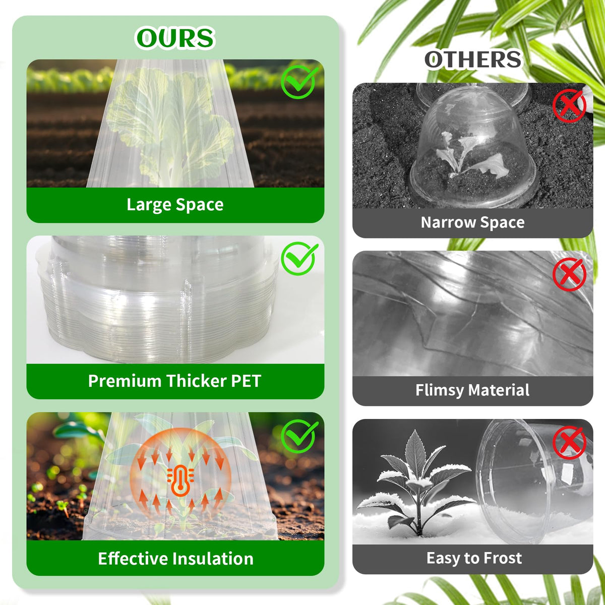 Webuys plant cover protects against birds, snails, and frost