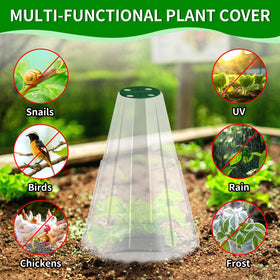 Webuys bell plant cover protects seedlings from pests