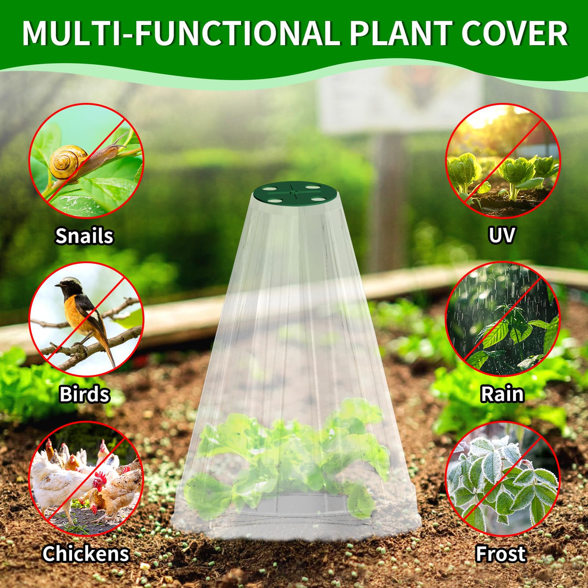 Webuys durable PVC cloche is reusable for multiple growing seasons