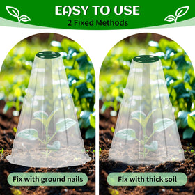 Webuys garden cloche in use over seedlings shielding from wind
