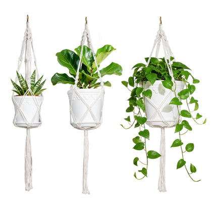 WECHARM HOME hanging planters with macrame for living room display and vibrant greenery